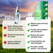 Comparison between generic skincare and HotChi’s Run The Show Facial Oil, showcasing its ability to enhance focus, improve clarity, reduce stress-related breakouts, and deliver a radiant, healthy complexion.