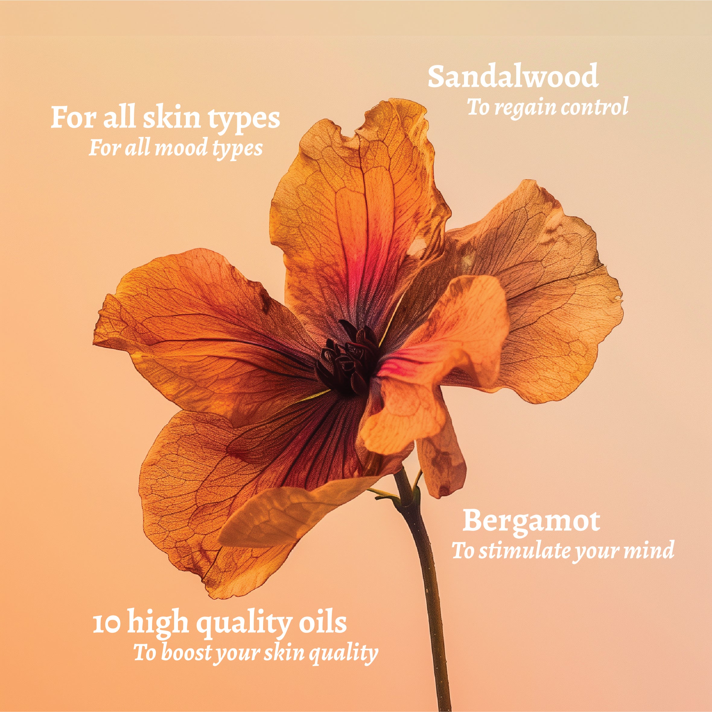 Bring Your Fire Facial Oil - Mood-Boosting Face Oil - Flower Photograph - Orange - HotChi