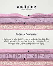 Illuminating Rose-hip, Grape Seed & Avocado Face Oil