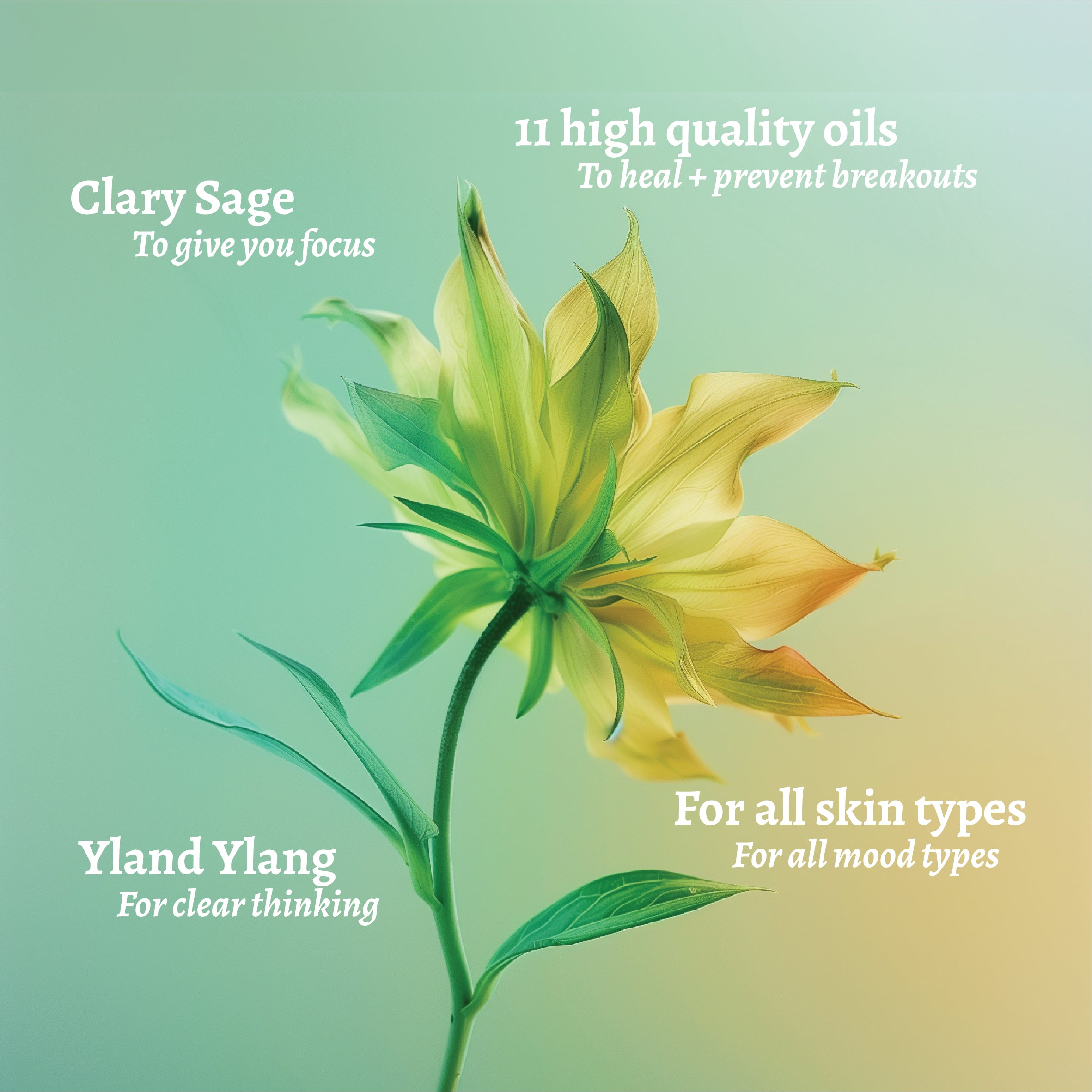 Run The Show Facial Oil - Mood-Boosting Face Oil - Flower Picture - Green - HotChi