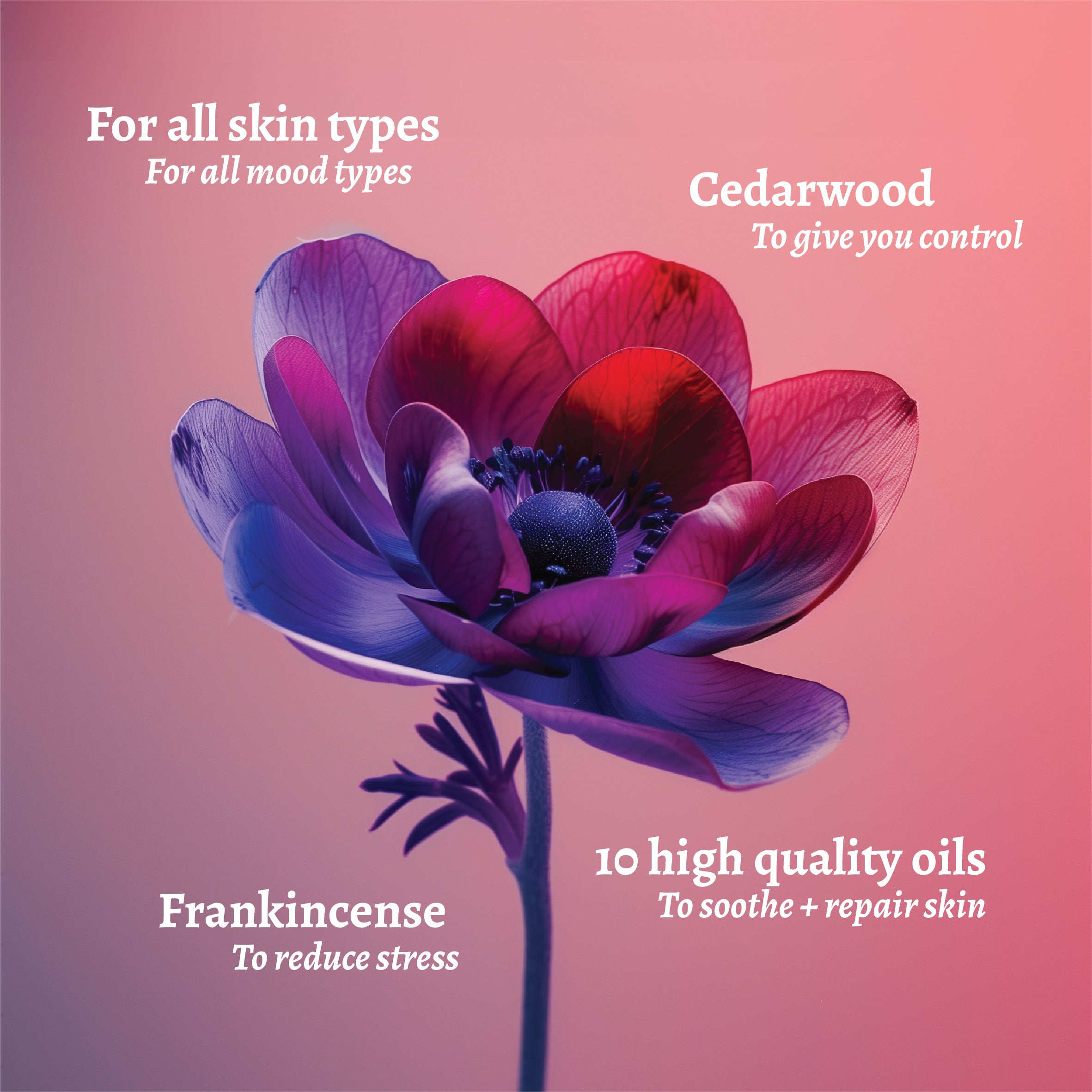 Shake It Up Facial Oil - Mood-Boosting Face Oil - Flower Picture - Red - HotChi