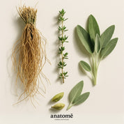 Support Eau de Parfum | Protective, herbaceous & restorative