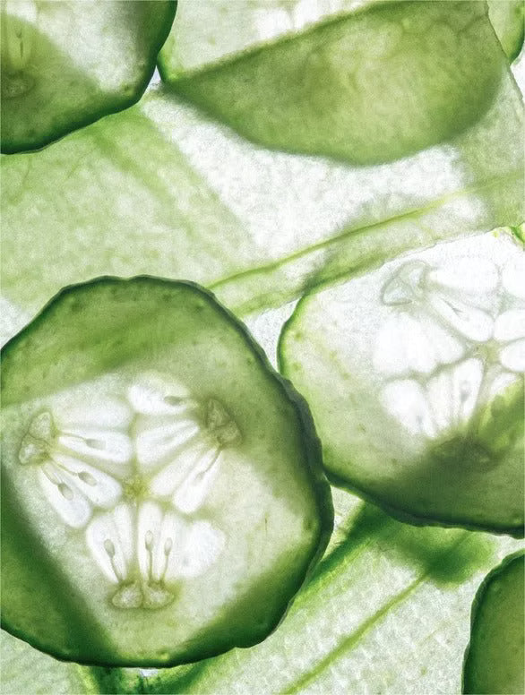 Fresh cucumber-inspired gel skincare texture with cooling translucent finish