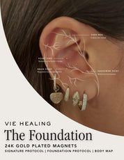 Vie Healing 24K Gold Ear Seeds – Acupressure & Wellness