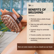 Walnut Wood Cellulite Hand Brush - Luxurious Cellulite Treatment Brush