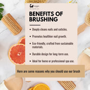 Sisal Nail Brush Collection
