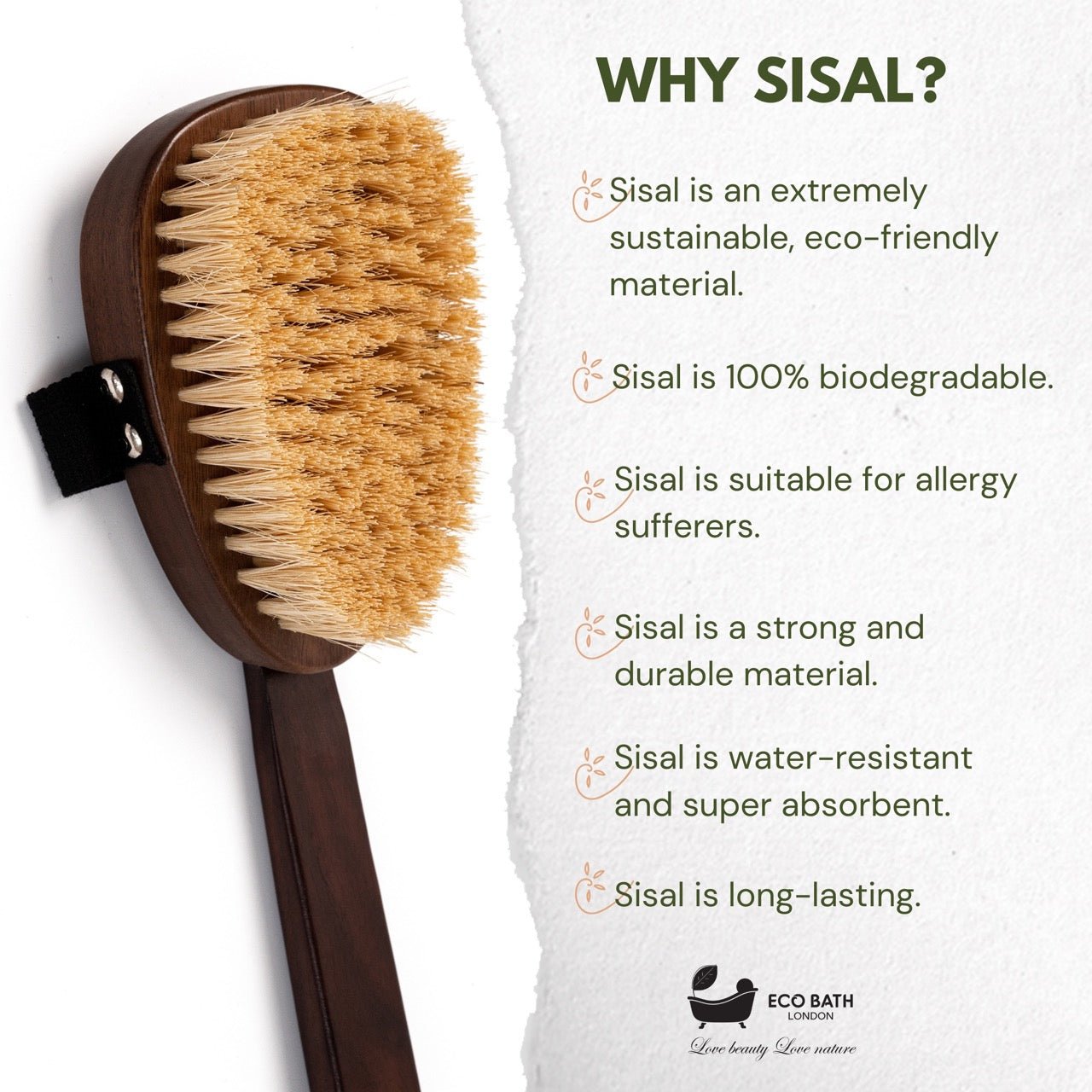 Natural Sisal Walnut Wood Body Brush
