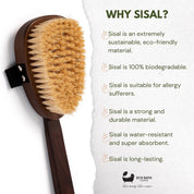 Natural Sisal Walnut Wood Body Brush