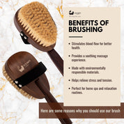 Natural Sisal Walnut Wood Body Brush