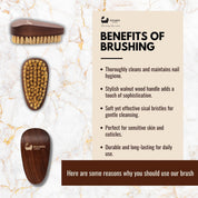 Natural Sisal Walnut Wood Nail Brush