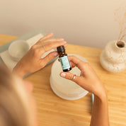 Eukalyptus Eterisk Olja - Lätt 10ml
