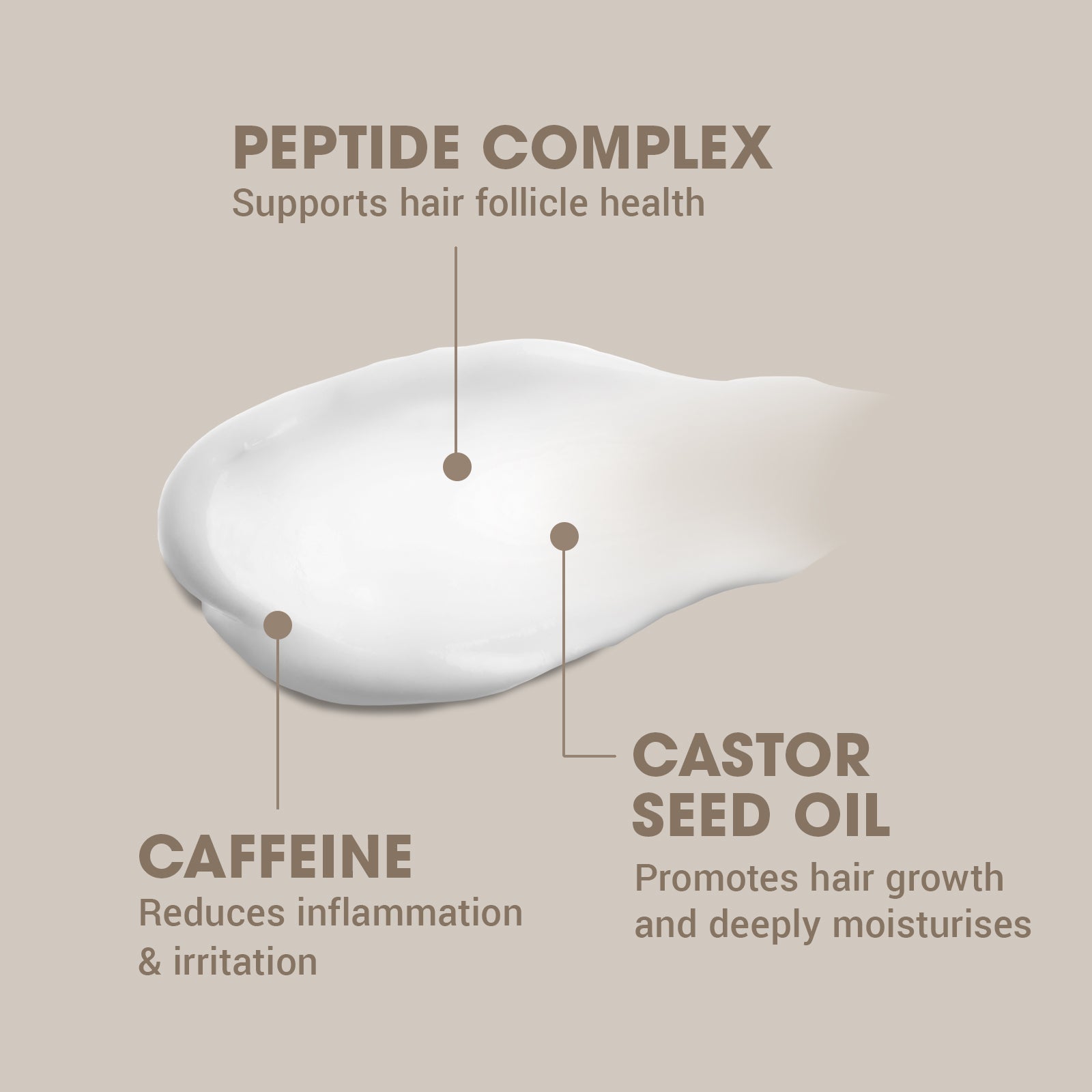 The Mane Event - Beard Serum
