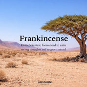 Sensory Point Sleep Oil for Overactive Mind – Somali Frankincense  | 30ml