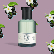 Atropa Belladonna Zapach 100ml