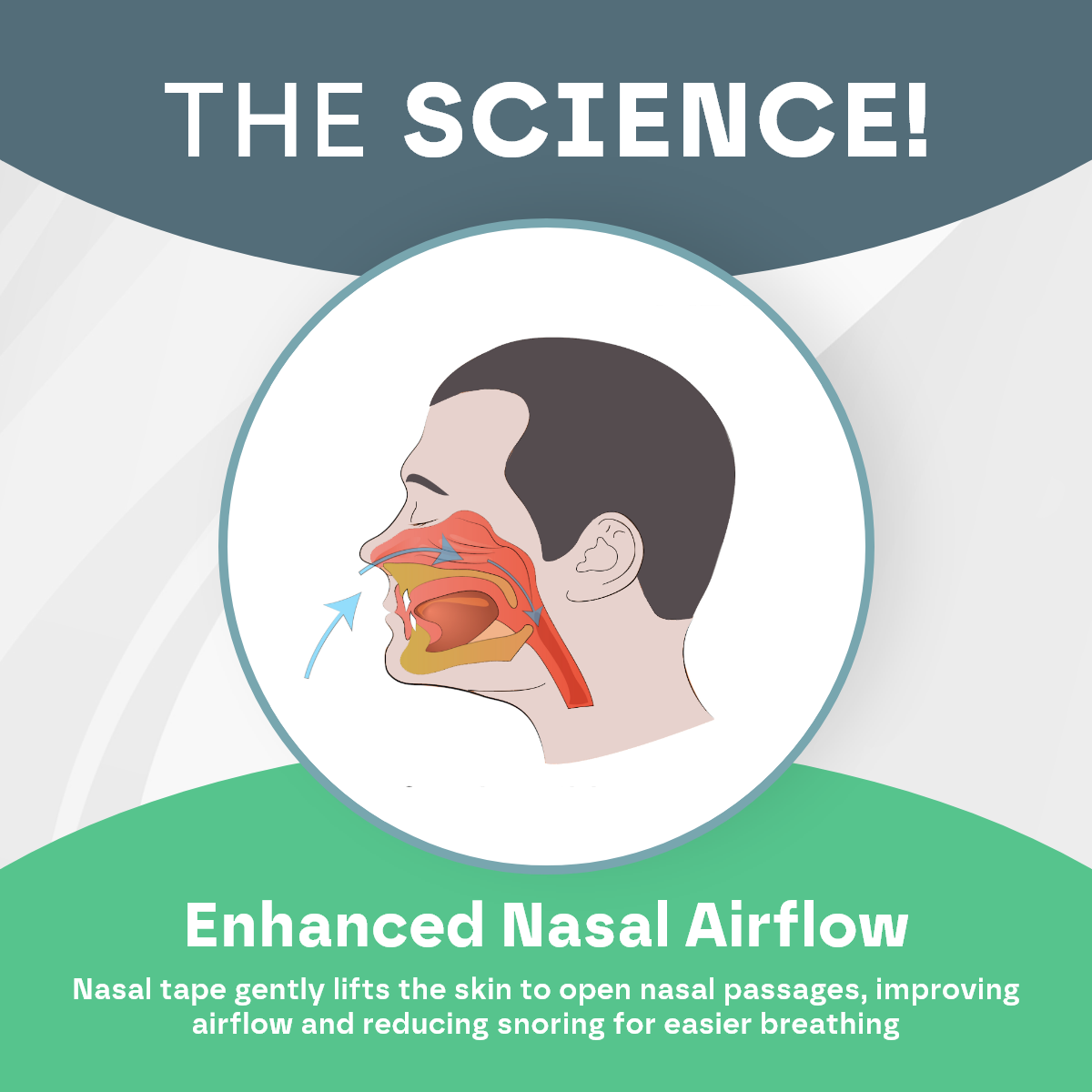 Diagram of enhanced nasal airflow with a person's head, nasal passages, and nasal tape labeled. Text 'The Science!' at the top and 'Enhanced Nasal Airflow' at the bottom.
